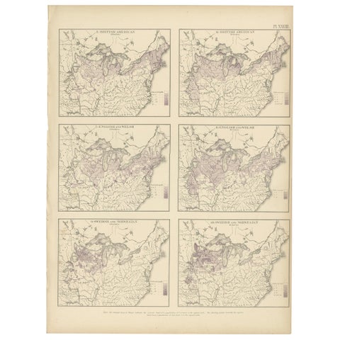 Pl. 28 Antique Chart of British American, English (..) US Population, 1874