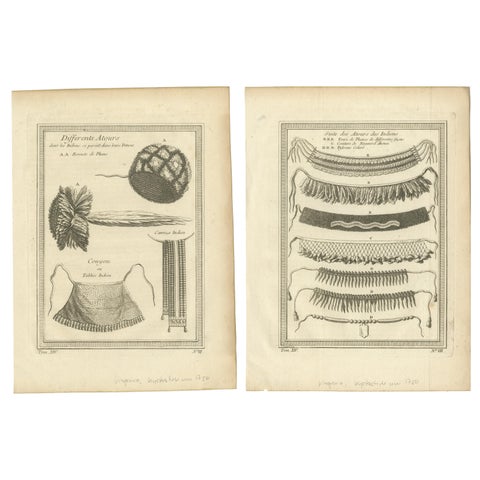 1757 Native American Tribal Adornments – Feathered Headdresses, Belts & Jewelry