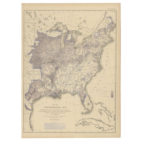 Antique Chart of the US Predominating Sex, 1874