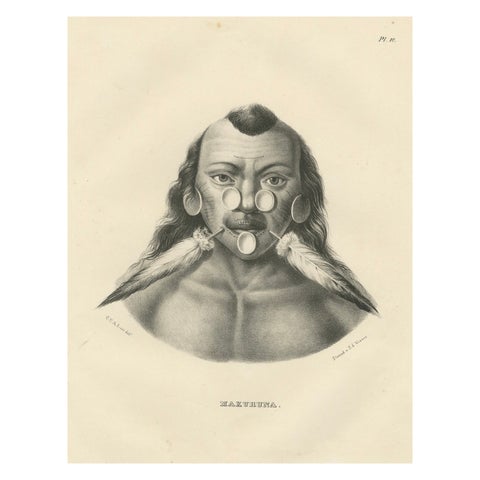 Portrait of a Member of the Maxuruna Amazon Tribe by Karl Joseph Brodtmann, 1836