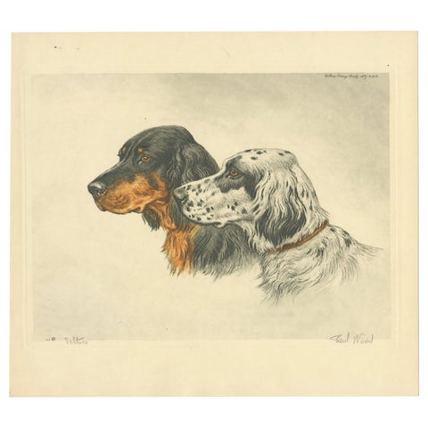 Setters Vintage Dog Portrait Lithograph, Paul Wood, 1930s, Signed