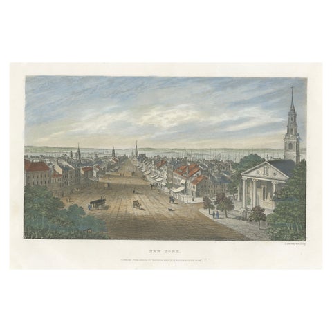 A Glimpse into the Early 19th Century Urban Landscape of New York, a 1842 Print