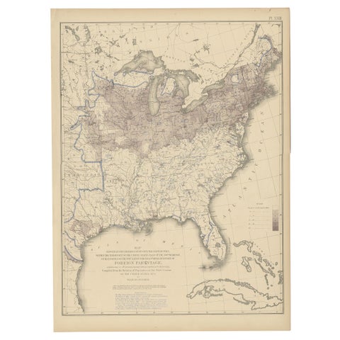 Pl. 23 Antique Chart of the US Foreign Parentage in 1870, '1874'