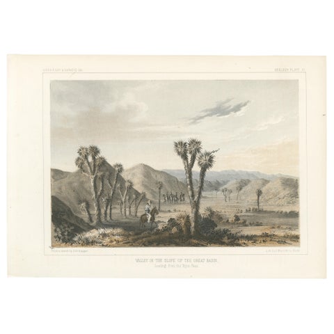 Tinted Lithograph of Valley in the Slope of the Great Basin in California, 1856