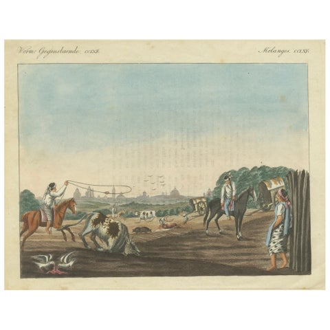 1823 Old-Colored Engraving - Gauchos Lassoing Cattle in Buenos Aires, Argentina