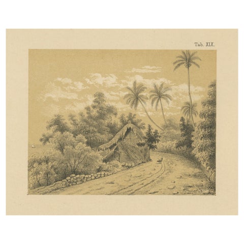 Antique Venezuela La Guaira Landscape - Dutch Colonial Tinted Lithograph, 1888
