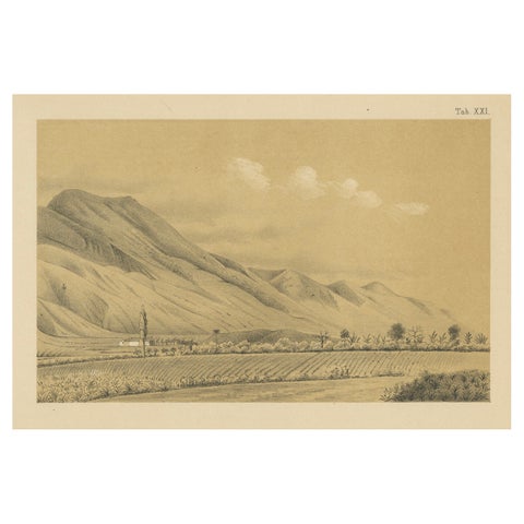 Antique Caracas Venezuela Monte Ávila Landscape - Tinted Lithograph, 1888