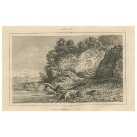 Beaver Dams on a Rocky Shore – 19th Century Canadian Wildlife Engraving