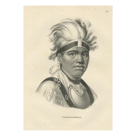 Portrait of Native American Tawadanega by Karl Joseph Brodtmann, 1836