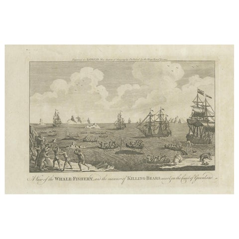 A View of the Whale-Fishery and the Manner of Killing Bears near Greenland, 1778