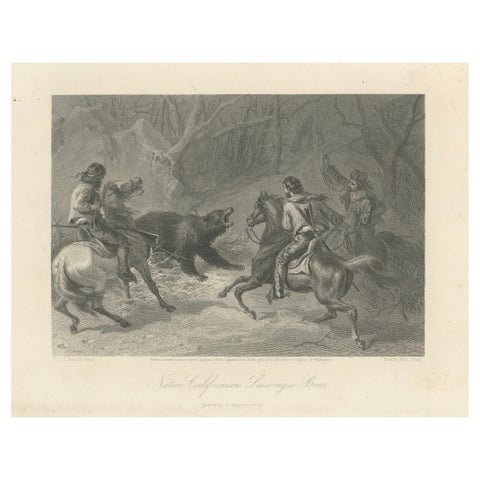 Native Californians Lassoing a Bear – American Frontier Hunting Engraving, 1873